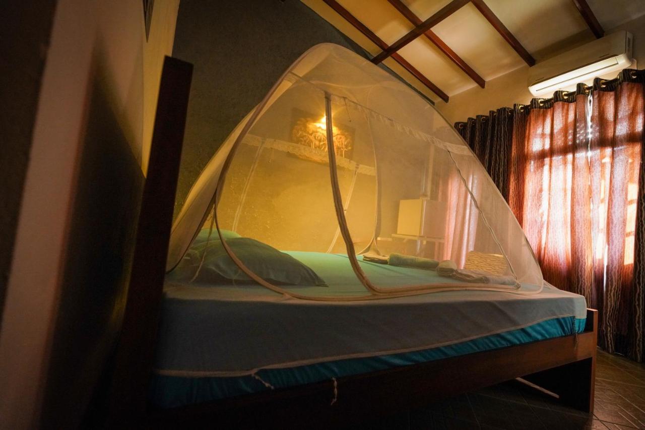 Lilly Palace Villa Guest House ネゴンボ エクステリア 写真