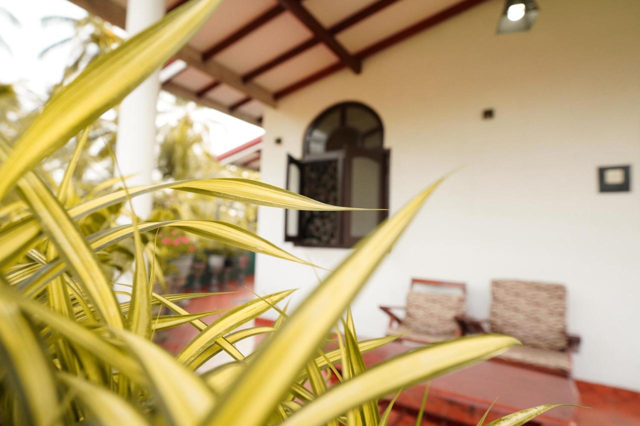 Lilly Palace Villa Guest House ネゴンボ エクステリア 写真